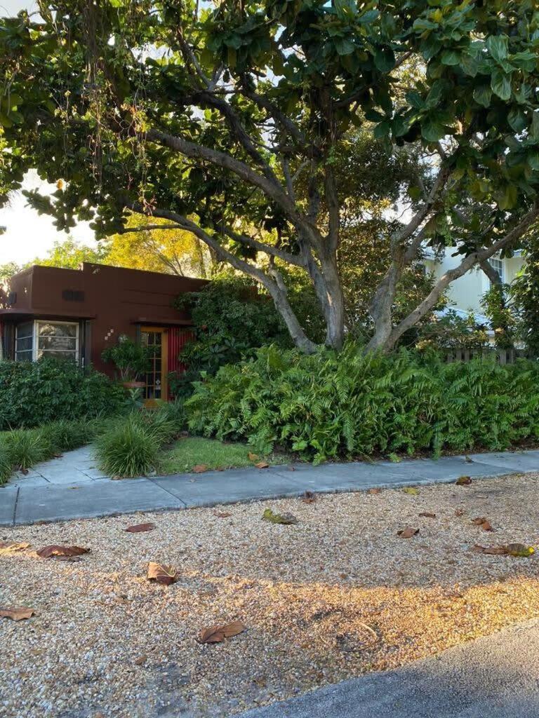 Delight And Cozy Apt Close To Las Olas & The Beach Fort Lauderdale Dış mekan fotoğraf