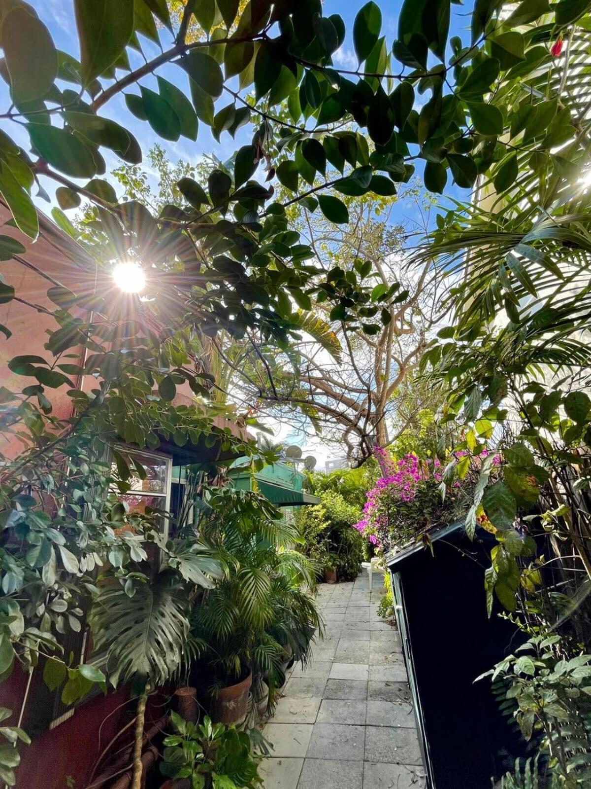 Delight And Cozy Apt Close To Las Olas & The Beach Fort Lauderdale Dış mekan fotoğraf